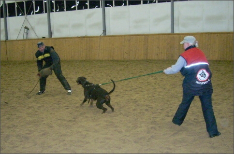 Training in Finland 12/2007